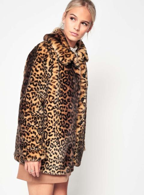 Petite Leopard Print Coat