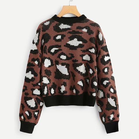 Maglione Leopardo Con Orlo A Contrasto