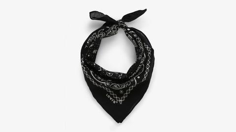 Paisley Bandana