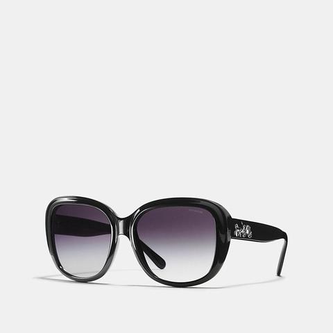 Horse And Carriage Soft Square Sunglasses