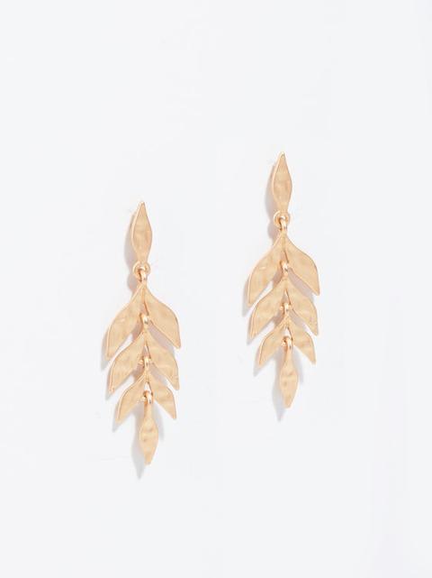 Pendientes Medianos Golden Delicates