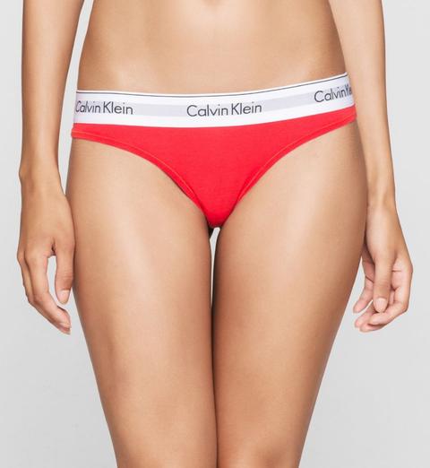 Thong - Modern Cotton