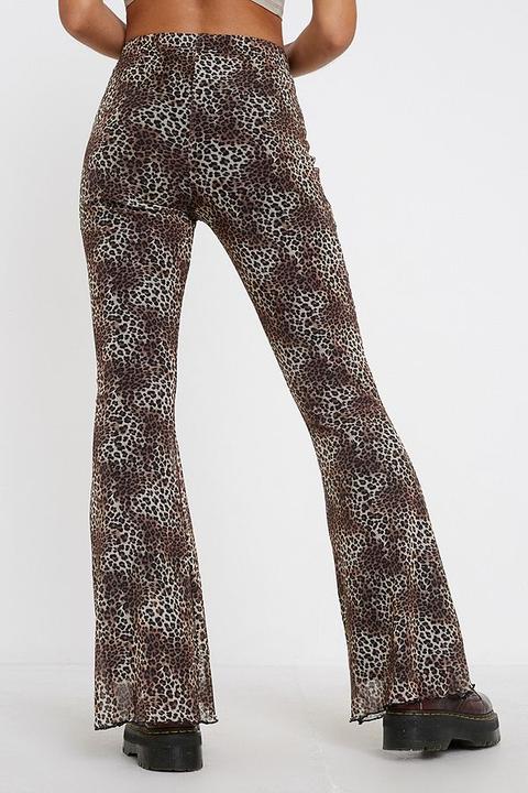 Urban renewal leopard print flares Outlet