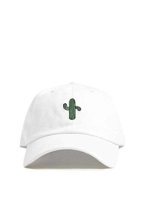 Men Cactus Graphic Dad Cap