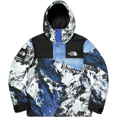 Supreme®/the North Face® Mountain Parka