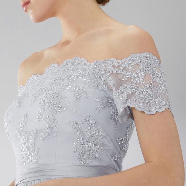 coast madelene dress silver