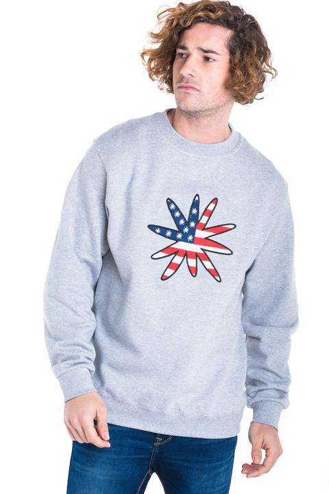 Logo Usa Flag Sweatshirt