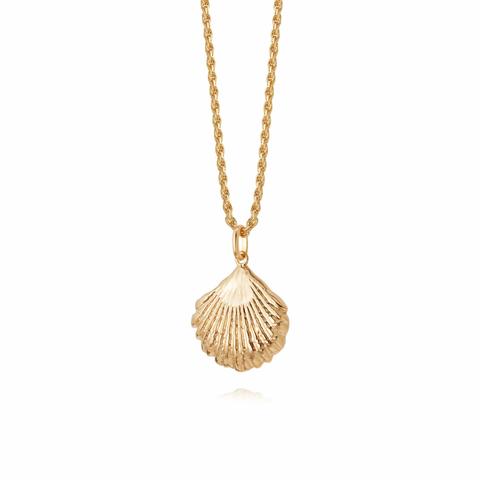 Isla Large Shell Necklace 18ct Gold Plate from Daisy London Jewellery ...