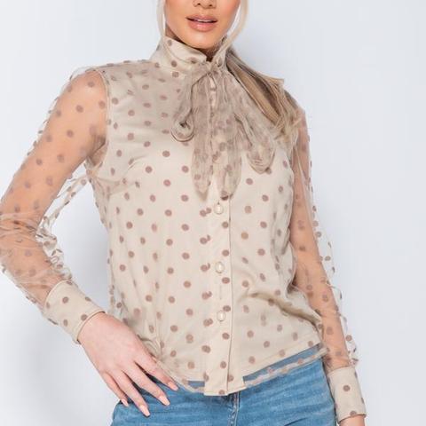 Stone Polka Dot Sheer Pussybow Long Sleeve Blouse