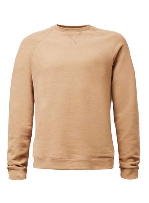 Tan Raglan Sweatshirt