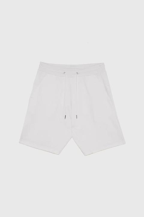 Bermuda Jogger Basic