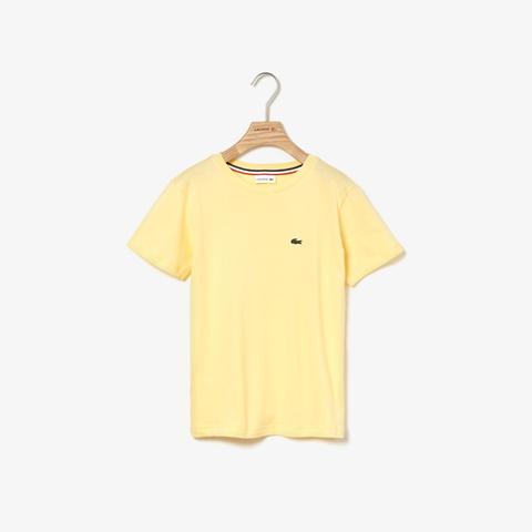 t shirt lacoste bambino