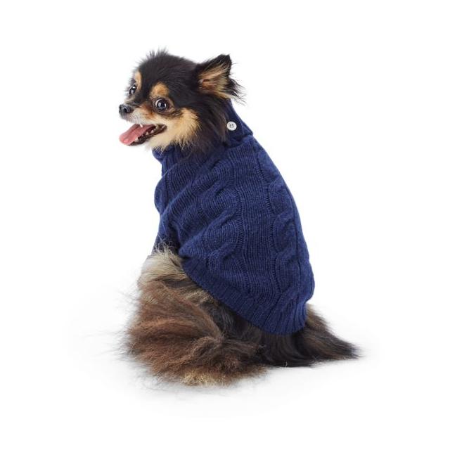 ralph lauren cashmere dog sweater