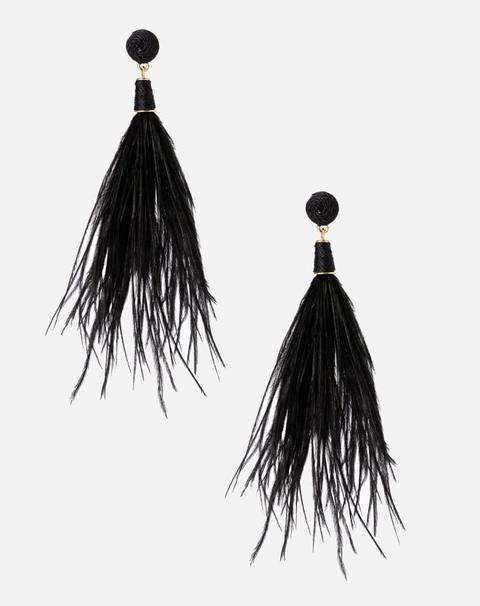 Brinco Plumas